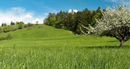 Conseil achat terrain pour construire sa maison