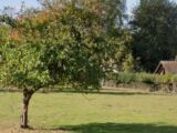 Maison à construire à Bois-Guillaume (76230) 2082125-9854annonce120250216WWlOA.jpeg Les Maisons Extraco