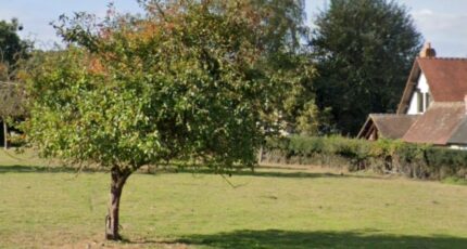 Bois-Guillaume Maison neuve - 2082125-9854annonce120250216WWlOA.jpeg Les Maisons Extraco