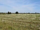 Maison à construire à Montigny (76380) 2077204-11182annonce120250212wlyX5.jpeg Les Maisons Extraco