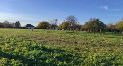 La Haye-Malherbe Maison neuve - 2122126-6236annonce120250401WprzC.jpeg Les Maisons Extraco