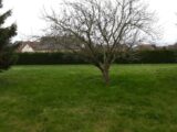 Maison à construire à Gaillon (27600) 2125418-5689annonce120250404zg419.jpeg Les Maisons Extraco