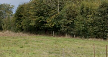 Mont-Saint-Aignan Maison neuve - 2125622-11182annonce120250405KEhyx.jpeg Les Maisons Extraco