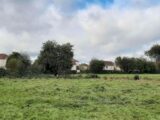 Maison à construire à Beuzeville (27210) 2126103-11214annonce220250406ts2BW.jpeg Les Maisons Extraco
