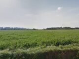 Maison à construire à Airan (14370) 2126457-11216annonce120250406z6OuN.jpeg Les Maisons Extraco