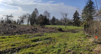 Grangues Maison neuve - 2126405-11216annonce2202504069SF58.jpeg Les Maisons Extraco