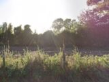 Maison à construire à Blangy-le-Château (14130) 2126433-11216annonce1202504069Lg7Q.jpeg Les Maisons Extraco