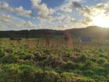 Maison à construire à Le Mesnil-Guillaume (14100) 2126466-11216annonce120250406MrfRy.jpeg Les Maisons Extraco