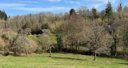 Fourneville Maison neuve - 2127086-11216annonce2202504078dEOQ.jpeg Les Maisons Extraco