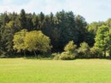 Maison à construire à Bonneville-sur-Touques (14800) 2127080-11216annonce1202504072IlHI.jpeg Les Maisons Extraco
