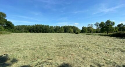Saint-André-d'Hébertot Maison neuve - 2129003-11215annonce120250409FTSiO.jpeg Les Maisons Extraco