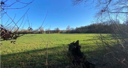 Grangues Maison neuve - 2129016-11215annonce120250409WA4dz.jpeg Les Maisons Extraco