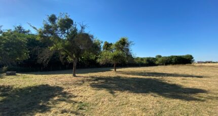 Beaubray Terrain à bâtir - 2129871-9696annonce220250411SpBTk.jpeg Les Maisons Extraco