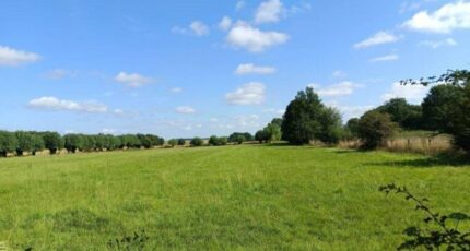 Saint-Symphorien Maison neuve - 2130297-4101annonce120250411p2Zuy.jpeg Les Maisons Extraco