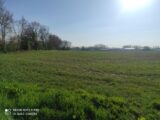 Maison à construire à Lieurey (27560) 2130368-4101annonce120250411ZAicG.jpeg Les Maisons Extraco