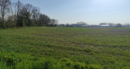Lieurey Maison neuve - 2130368-4101annonce120250411ZAicG.jpeg Les Maisons Extraco