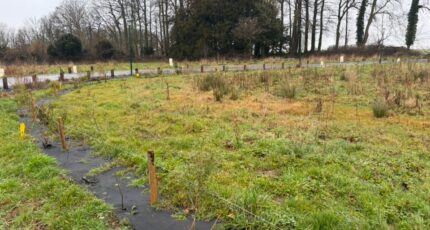 Autretot Maison neuve - 2130030-11217annonce120250411CV5Sn.jpeg Les Maisons Extraco