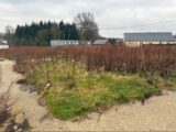 Maison à construire à Barentin (76360) 2130133-11217annonce1202504113SZyn.jpeg Les Maisons Extraco