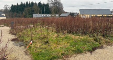 Barentin Maison neuve - 2130133-11217annonce1202504113SZyn.jpeg Les Maisons Extraco