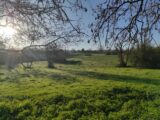 Maison à construire à Villers-sur-Mer (14640) 2129220-11216annonce120250410ptCal.jpeg Les Maisons Extraco