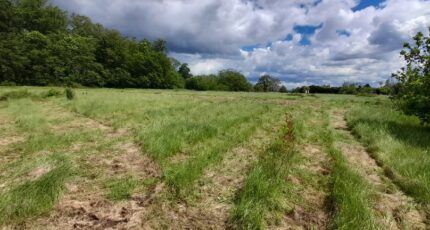 Orival Terrain à bâtir - 2047306-11182annonce120250110rsTvA.jpeg Les Maisons Extraco