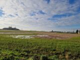 Maison à construire à Bréauté (76110) 2130989-11180annonce120250411nG6ib.jpeg Les Maisons Extraco