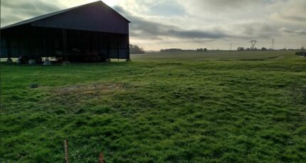 Longnes Maison neuve - 2131487-11219annonce120250408LIgv6.jpeg Les Maisons Extraco