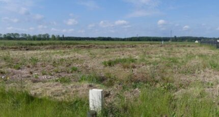 Reuilly Maison neuve - 2131933-11218annonce120250413Vsxrn.jpeg Les Maisons Extraco