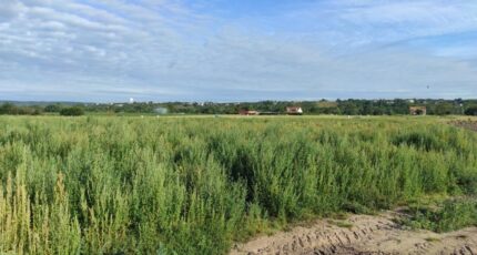 Martot Maison neuve - 2132833-6236annonce220250415CuWRM.jpeg Les Maisons Extraco
