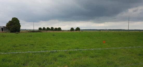 Terrain à bâtir à Amfreville-la-Campagne, Normandie