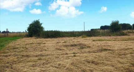 Surtauville Maison neuve - 2133827-4102annonce1202504166GMPg.jpeg Les Maisons Extraco