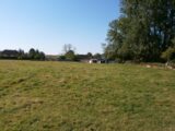 Maison à construire à Dénestanville (76590) 2135547-4093annonce120250417qXn0k.jpeg Les Maisons Extraco