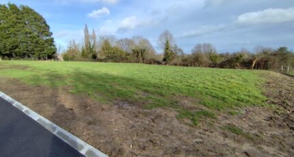 Cambremer Maison neuve - 2135917-11216annonce120250418IG07K.jpeg Les Maisons Extraco