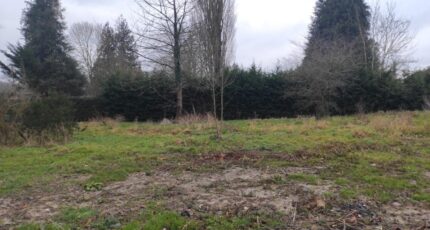 Touques Maison neuve - 2135216-11216annonce1202504170Gw1O.jpeg Les Maisons Extraco