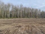 Terrain à bâtir à Saint-Étienne-du-Vauvray (27430) 2135623-6236annonce220250417AQIyd.jpeg Les Maisons Extraco