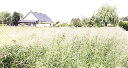Guernes Maison neuve - 2136569-5689annonce120250418ACT66.jpeg Les Maisons Extraco