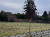 Maison à construire à Andelu (78770) 2136961-11219annonce120250418bKyP4.jpeg Les Maisons Extraco