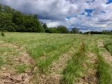 Terrain à bâtir à Épreville-en-Roumois (27310) 2081619-11159annonce120250215mPtvh.jpeg Les Maisons Extraco