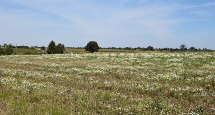 Letteguives Terrain à bâtir - 2081649-11159annonce120250215Ppuil.jpeg Les Maisons Extraco