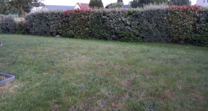 Panilleuse Maison neuve - 2138736-5689annonce1202504230OSiT.jpeg Les Maisons Extraco