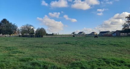 Perriers-la-Campagne Terrain à bâtir - 2139251-11214annonce2202504248qSTx.jpeg Les Maisons Extraco
