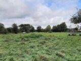 Maison à construire à Beuzeville (27210) 2139068-11214annonce120250424ITw17.jpeg Les Maisons Extraco