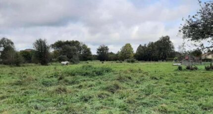 Beuzeville Maison neuve - 2139068-11214annonce120250424ITw17.jpeg Les Maisons Extraco
