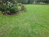 Maison à construire à Les Trois-Pierres (76430) 2141304-11180annonce120250425Fk39v.jpeg Les Maisons Extraco