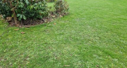 Les Trois-Pierres Maison neuve - 2141304-11180annonce120250425Fk39v.jpeg Les Maisons Extraco