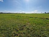 Maison à construire à Beuzeville-la-Grenier (76210) 2141354-11180annonce1202504254uWZX.jpeg Les Maisons Extraco