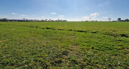 Beuzeville-la-Grenier Maison neuve - 2141354-11180annonce1202504254uWZX.jpeg Les Maisons Extraco