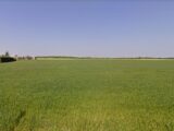 Maison à construire à Miserey (27930) 2141832-9696annonce120250426qPebq.jpeg Les Maisons Extraco