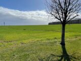Maison à construire à Aviron (27930) 2142070-11218annonce120250426HFJPK.jpeg Les Maisons Extraco