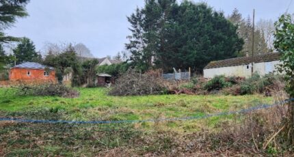 Bois-le-Roi Maison neuve - 2142065-11218annonce1202504266P1i3.jpeg Les Maisons Extraco
